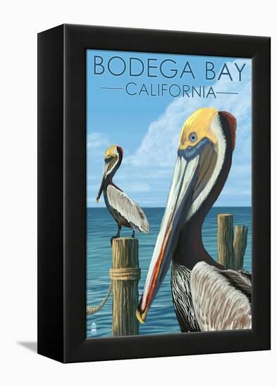 Bodega Bay, California - Brown Pellican-Lantern Press-Framed Stretched Canvas