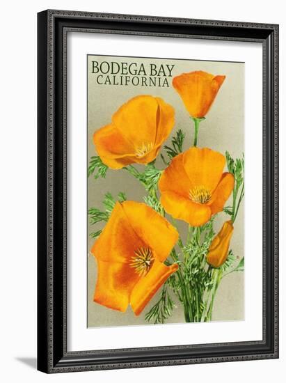 Bodega Bay, California - Poppy-Lantern Press-Framed Art Print