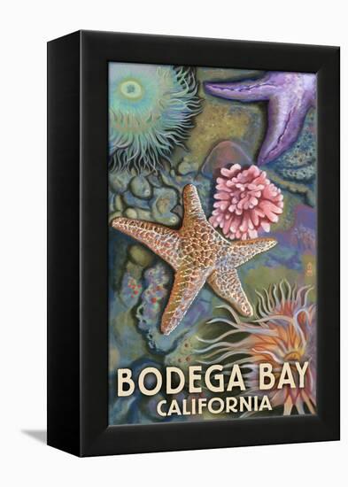 Bodega Bay, California - Tidepool-Lantern Press-Framed Stretched Canvas