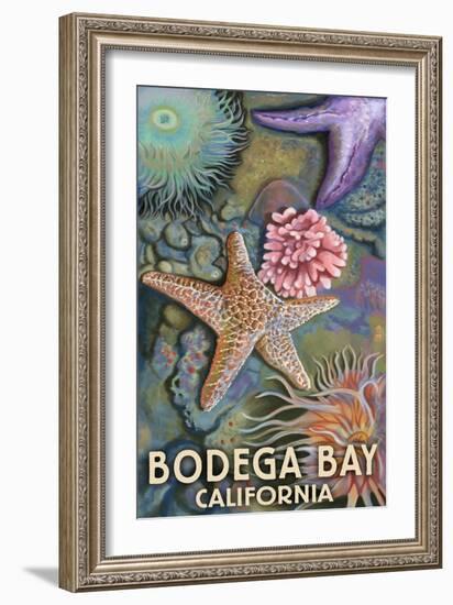 Bodega Bay, California - Tidepool-Lantern Press-Framed Art Print