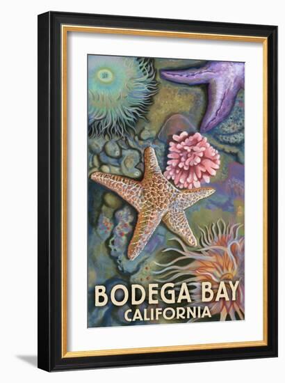 Bodega Bay, California - Tidepool-Lantern Press-Framed Art Print