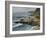 Bodega Head-Barbara Chenault-Framed Art Print