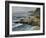 Bodega Head-Barbara Chenault-Framed Art Print