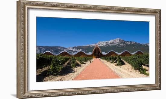 Bodegas Ysios Winery Building and Vineyard, La Rioja, Spain-null-Framed Photographic Print