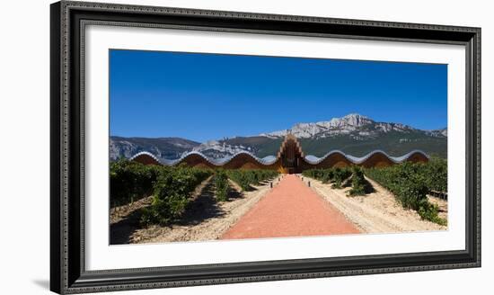 Bodegas Ysios Winery Building and Vineyard, La Rioja, Spain-null-Framed Photographic Print