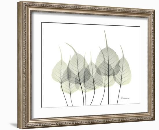 Bodhi Family Tree-Albert Koetsier-Framed Art Print