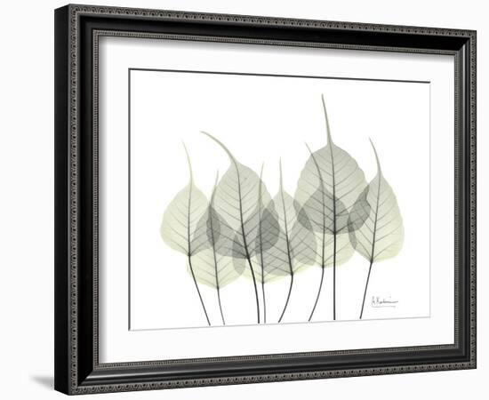 Bodhi Family Tree-Albert Koetsier-Framed Art Print