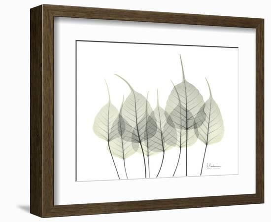 Bodhi Family Tree-Albert Koetsier-Framed Art Print