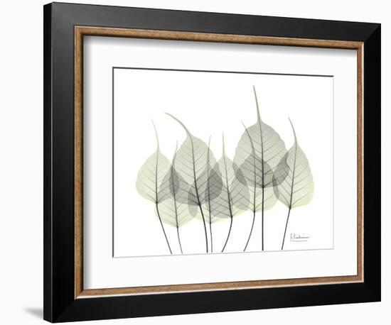 Bodhi Family Tree-Albert Koetsier-Framed Art Print