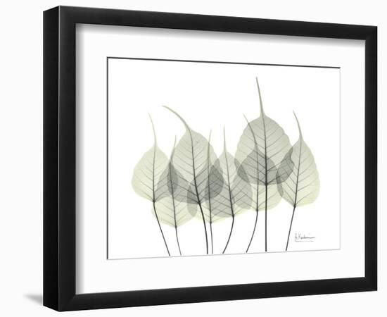 Bodhi Family Tree-Albert Koetsier-Framed Art Print