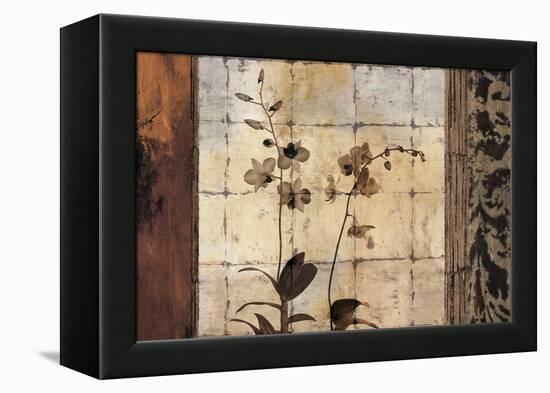 Bodhi I-Chris Donovan-Framed Stretched Canvas