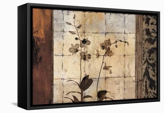 Bodhi I-Chris Donovan-Framed Stretched Canvas