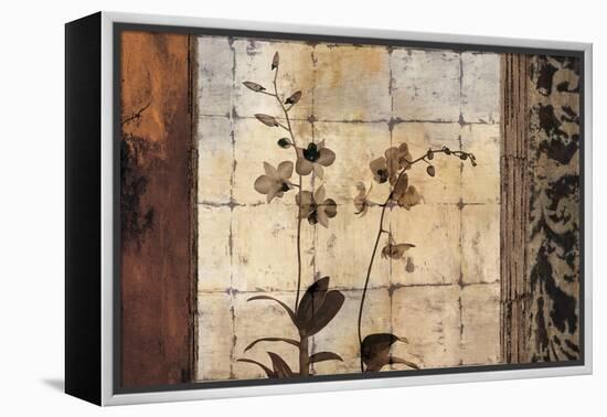 Bodhi I-Chris Donovan-Framed Stretched Canvas