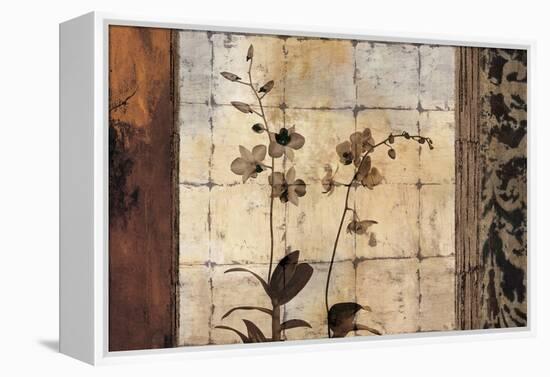 Bodhi I-Chris Donovan-Framed Stretched Canvas