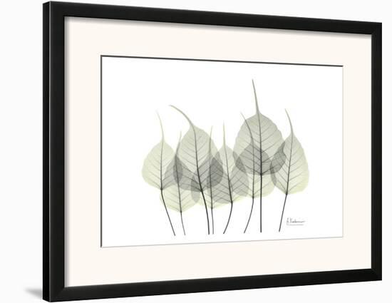 Bodhi Tree Leaves in Green-Albert Koetsier-Framed Art Print