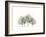 Bodhi Tree Quartet-Albert Koetsier-Framed Art Print