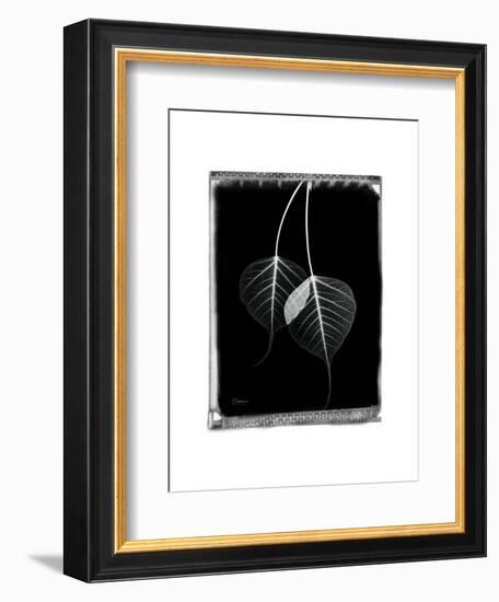 Bodhi Tree Star-Albert Koetsier-Framed Art Print