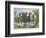 Bodiam Castle, Sussex-English School-Framed Giclee Print