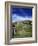 Bodie, Ghost Town, California, USA-Tony Gervis-Framed Photographic Print