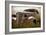 Bodie Junkyard Chevy-Jessica Rogers-Framed Giclee Print