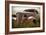 Bodie Junkyard Chevy-Jessica Rogers-Framed Giclee Print