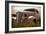 Bodie Junkyard Chevy-Jessica Rogers-Framed Giclee Print