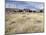 Bodie State Historic Park, California, USA-null-Mounted Photographic Print