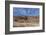 Bodie State Park, California, USA-Joe Restuccia III-Framed Photographic Print