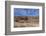 Bodie State Park, California, USA-Joe Restuccia III-Framed Photographic Print