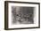 Bodies of dead French soldiers, c1914-c1918-Unknown-Framed Photographic Print