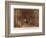 Bodleian Library 1903-John Fulleylove-Framed Photographic Print