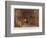 Bodleian Library 1903-John Fulleylove-Framed Photographic Print