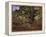 Bodmer Oak, Fontainbleau Forest-Claude Monet-Framed Premier Image Canvas