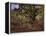 Bodmer Oak, Fontainbleau Forest-Claude Monet-Framed Premier Image Canvas