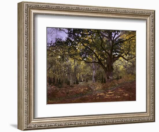 Bodmer Oak, Fontainbleau Forest-Claude Monet-Framed Giclee Print