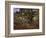 Bodmer Oak, Fontainbleau Forest-Claude Monet-Framed Giclee Print