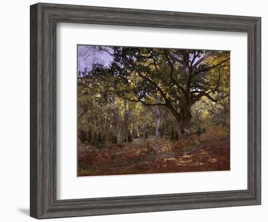 Bodmer Oak, Fontainbleau Forest-Claude Monet-Framed Giclee Print