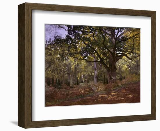 Bodmer Oak, Fontainbleau Forest-Claude Monet-Framed Giclee Print