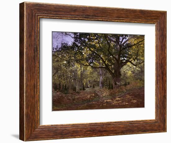 Bodmer Oak, Fontainbleau Forest-Claude Monet-Framed Giclee Print