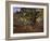 Bodmer Oak, Fontainbleau Forest-Claude Monet-Framed Giclee Print