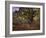 Bodmer Oak, Fontainbleau Forest-Claude Monet-Framed Giclee Print