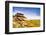 Bodmin Moor, Cornwall, England, United Kingdom, Europe-Kav Dadfar-Framed Photographic Print