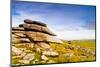 Bodmin Moor, Cornwall, England, United Kingdom, Europe-Kav Dadfar-Mounted Photographic Print