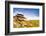 Bodmin Moor, Cornwall, England, United Kingdom, Europe-Kav Dadfar-Framed Photographic Print