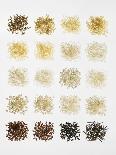 Many Different Types of Rice Laid Out in Small Squares-Bodo A^ Schieren-Framed Photographic Print