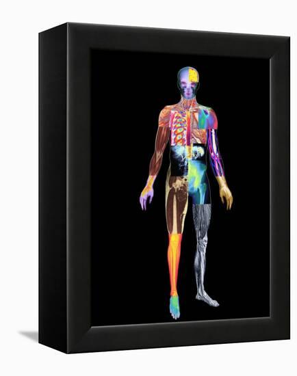 Body Imaging-Mehau Kulyk-Framed Premier Image Canvas