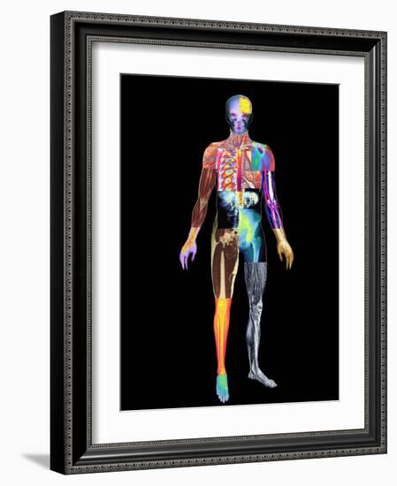 Body Imaging-Mehau Kulyk-Framed Photographic Print