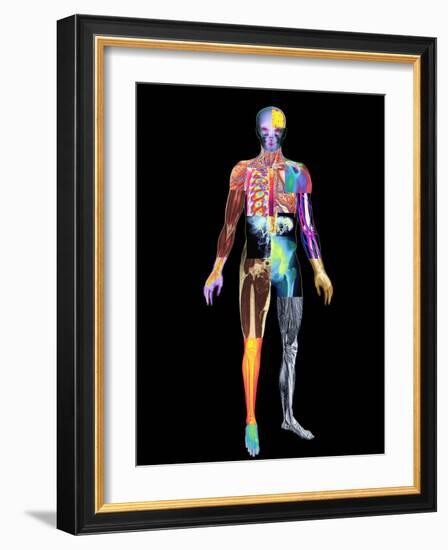 Body Imaging-Mehau Kulyk-Framed Photographic Print