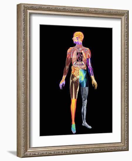 Body Imaging-Mehau Kulyk-Framed Photographic Print