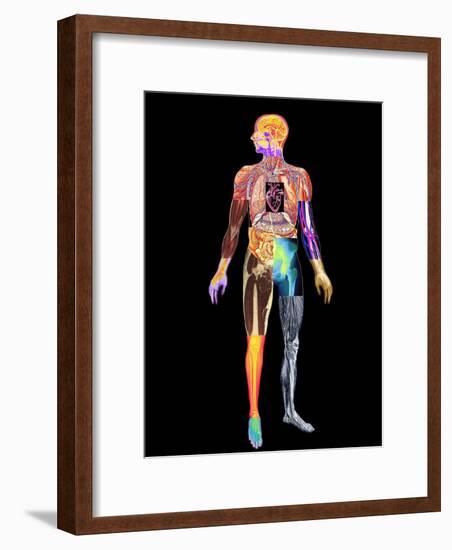 Body Imaging-Mehau Kulyk-Framed Photographic Print